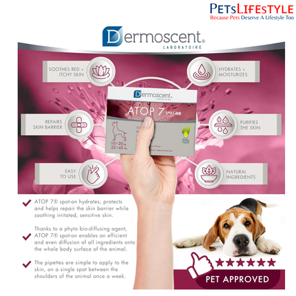 Savavet Dermoscent ATOP 7 Spot-On 1.2ml for Dogs (10–20kg) (1.2ml x 4 Pipette) dermatological spot-on treatment