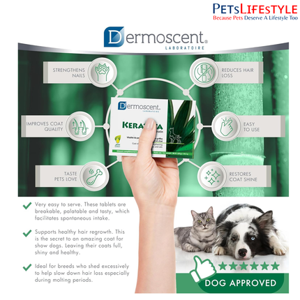 Dermoscent Keravita Skin & Coat Supplement for Dogs & Cats (30 Tablets)