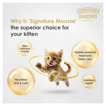 Signature Ocean Fish Mousse Kitten 80g (5+1 Pack)