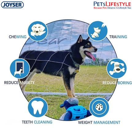 JOYSER Squad Armored Bear Plush Dog Toy with Squeaker – Blue (M/L)