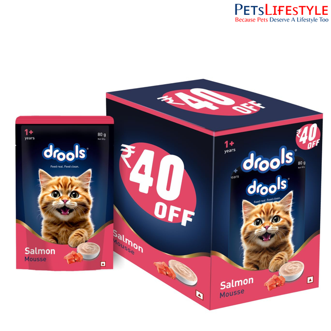 Drools Cat Mousse Wet Cat Food – Salmon Flavour 80g High Protein Smooth Texture Adult Cats 1+ Years