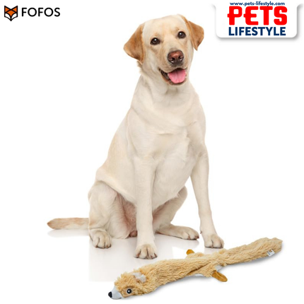 FOFOS Skinneez Squirrel Dog Toy – Stuffing-Free Plush Toy with Dual Squeakers