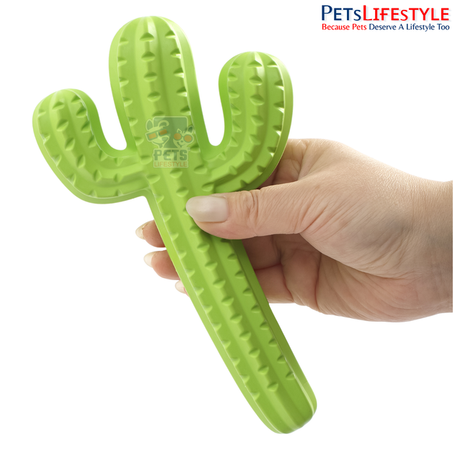 FOFOS Dog Chew Toy Cactus (Light green) – Textured Rubber Chew Toy for Dogs
