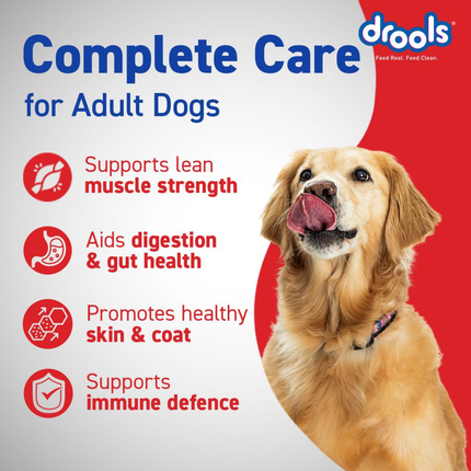 Drools Adult Optimum Performance 20kg