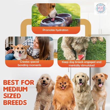 Pup Ice Ready-to-Freeze Waffle Cone Dog Treats – Vanilla & Peanut Butter Combo Pack (110g x 2)