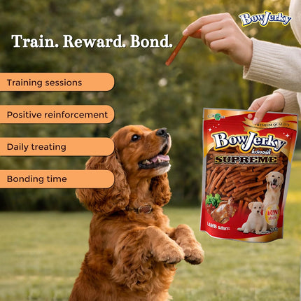 Bow Jerky Lamb Liver Dog Treats with Fish Stick Combo 800gm