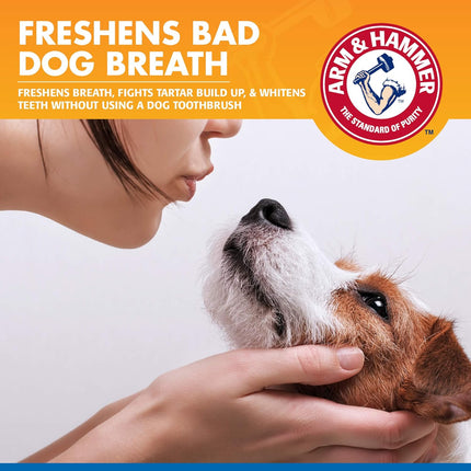 Arm & Hammer Tartar Control Dental Spray for Dogs Mint 118 ml | Fresh Breath & Gum Care Oral Spray