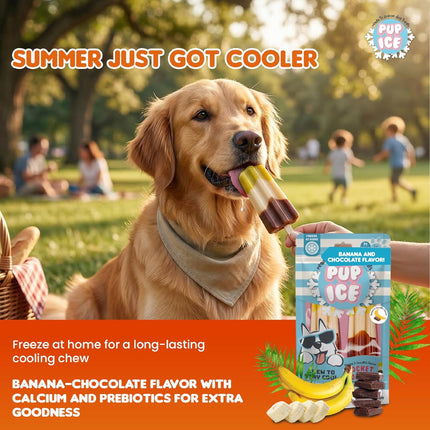 PUP ICE Ready to Freeze Rocket Lollies Dog Treats Banana & Chocolate 90gm