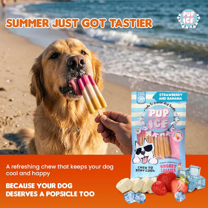 PUP ICE Ready to Freeze Rocket Lollies Dog Treats Strawberry & Banana 90gm