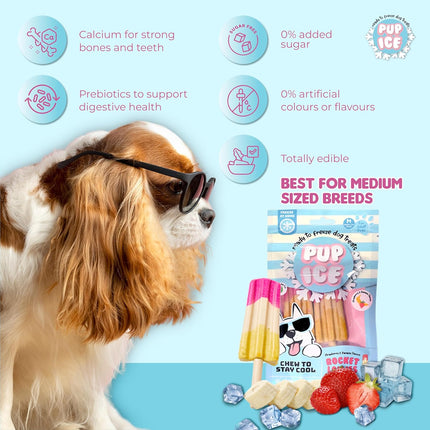 PUP ICE Ready to Freeze Rocket Lollies Dog Treats Strawberry & Banana 90gm