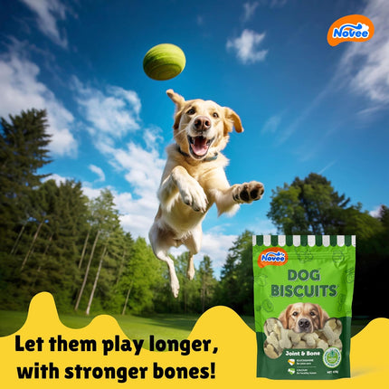 Novee Dog Biscuits – Crunchy Nutritious Dog Treats for Daily Rewards | Glucosamine & Calcium Biscuits for Strong Teeth, Healthy Bones & Everyday Wellness | 450g