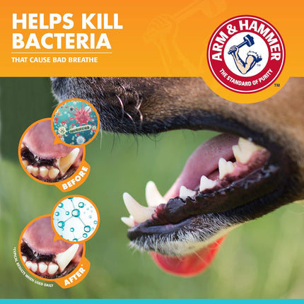 Arm & Hammer Fresh Breath Dental Kit for Dogs – Vanilla Ginger Flavor | Complete Dog Oral Care Kit (67.5 g)