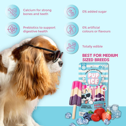 PUP ICE Ready to Freeze Rocket Lollies Dog Treats Blueberry & Strawberry 90gm