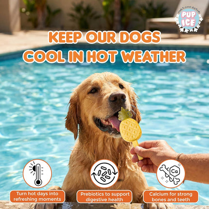 Pup Ice Ready to Freeze Fruity Lollies Dog Treats Pebbles – Pineapple Flavour 90g