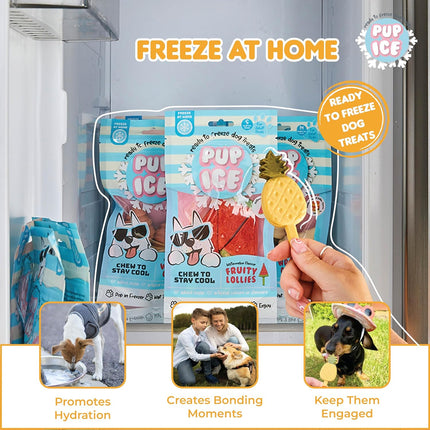 Pup Ice Ready to Freeze Fruity Lollies Dog Treats Pebbles – Pineapple Flavour 90g
