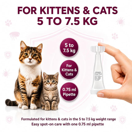KittyMec Selamectin 6% Spot On for Cats (5–7.5 kg), 0.75 mL spot-on for flea, ear mite, worm and heartworm protection.