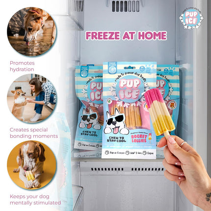PUP ICE Ready to Freeze Rocket Lollies Dog Treats Strawberry & Banana 90gm
