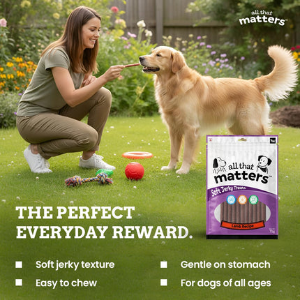 all that matters Lamb Recipe Dog Treats – High Protein Soft Dog Treats | Easy-to-Digest Lamb Training Snacks for Puppies & Adult Dogs – Healthy Reward Treats, 70g