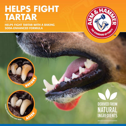 Arm & Hammer Tartar Control Dental Spray for Dogs Mint 118 ml | Fresh Breath & Gum Care Oral Spray