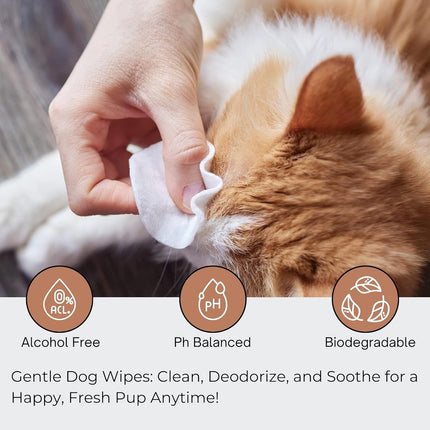 Biodegradable Pet Wipes for Dogs & Cats – 100 Pcs | Heavy Duty 100% Cotton Pet Sheets with Fresh Apple Scent