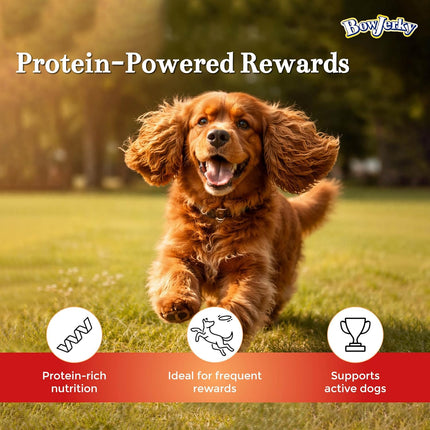 Bow Jerky Lamb Liver Dog Treats with Fish Stick Combo 800gm