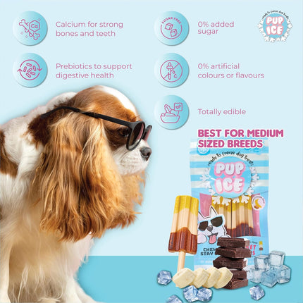 PUP ICE Ready to Freeze Rocket Lollies Dog Treats Banana & Chocolate 90gm