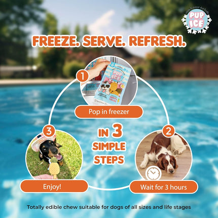 Pup Ice Ready to Freeze Fruity Lollies Dog Treats Pebbles – Pineapple Flavour 90g