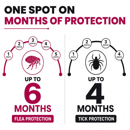 FurTICK Fluralaner Spot On for Dogs 10–20 kg , 1.8 mL pipette for long-lasting flea and tick protection.