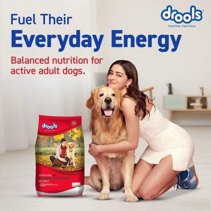 Drools Adult Optimum Performance 20kg
