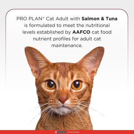 Purina Pro Plan Adult Dry Cat Food Salmon & Tuna – Advanced High Protein Nutrition for Adult Cats