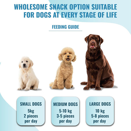 Sea World Treats Sea World Dog Treats, Tasty And Fun Dog Treat With Calcium-Rich Gluten-Free Nutrients, Suitable For All Breeds Of Dogs