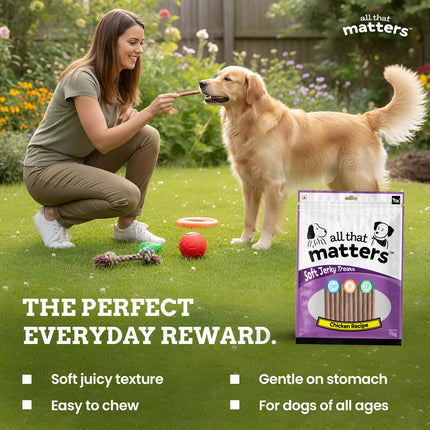 All that matters Chicken Recipe Dog Treats – High Protein Soft Dog Treats | Easy-to-Digest Chicken Training Snacks for Puppies & Adult Dogs – Healthy Reward Treats, 70g