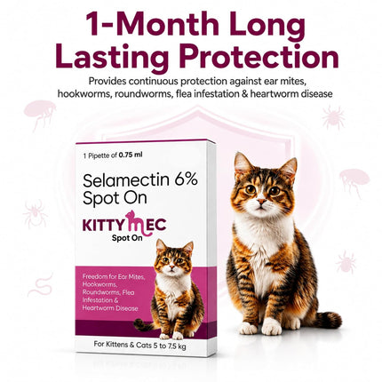 KittyMec Selamectin 6% Spot On for Cats (5–7.5 kg), 0.75 mL spot-on for flea, ear mite, worm and heartworm protection.