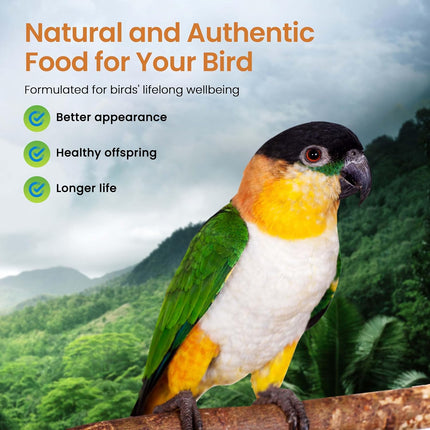 Harrison's Bird Foods High Potency Fine Maximum Nutritional Certified Organic Formula For Small To Medium BirdsHarrison's Bird Foods High Potency Fine Maximum Nutritional Certified Organic Formula For Small To Medium Birds