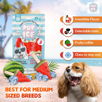 Pup Ice Ready to Freeze Fruity Lollies Dog Treats – Watermelon Flavour (90g)