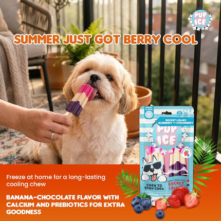 PUP ICE Ready to Freeze Rocket Lollies Dog Treats Blueberry & Strawberry 90gm