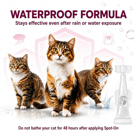 KittyMec Selamectin 6% Spot On for Cats (5–7.5 kg), 0.75 mL spot-on for flea, ear mite, worm and heartworm protection.
