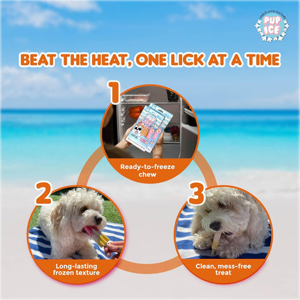 PUP ICE Ready to Freeze Rocket Lollies Dog Treats Strawberry & Banana 90gm