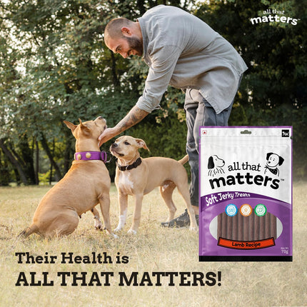 all that matters Lamb Recipe Dog Treats – High Protein Soft Dog Treats | Easy-to-Digest Lamb Training Snacks for Puppies & Adult Dogs – Healthy Reward Treats, 70g