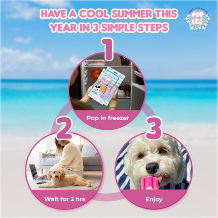 PUP ICE Ready to Freeze Rocket Lollies Dog Treats Strawberry & Banana 90gm