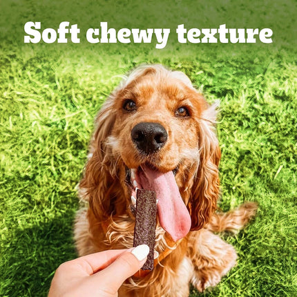Pedigree Tasty Jerky Goat Milk Flavour Dog Treats 70g