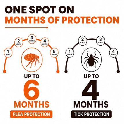 FurTICK Fluralaner Spot On for Dogs (20–40 kg) | 3.6 ml Pipette | Long-Lasting Tick & Flea Protection