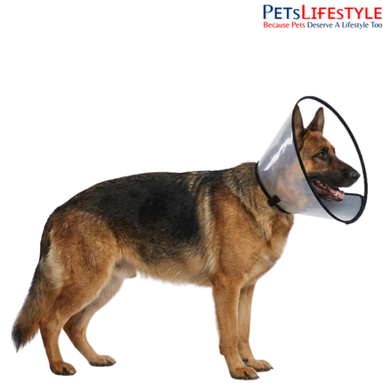 Elizabethan Collar for Dogs, Cats & Rabbits – Protective Recovery Cone (E-Collar)