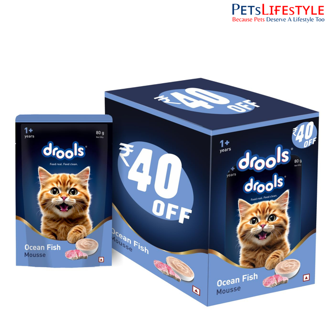 Drools Cat Mousse Ocean Fish Wet Cat Food 80g High Protein Smooth Texture