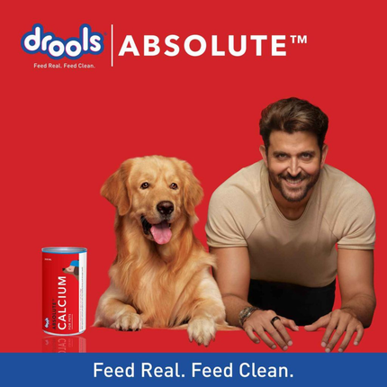 Drools Absolute Calcium Syrup Dog Supplement (300ml)