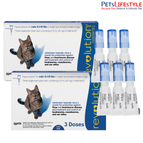 6 Pipette (2 Box)