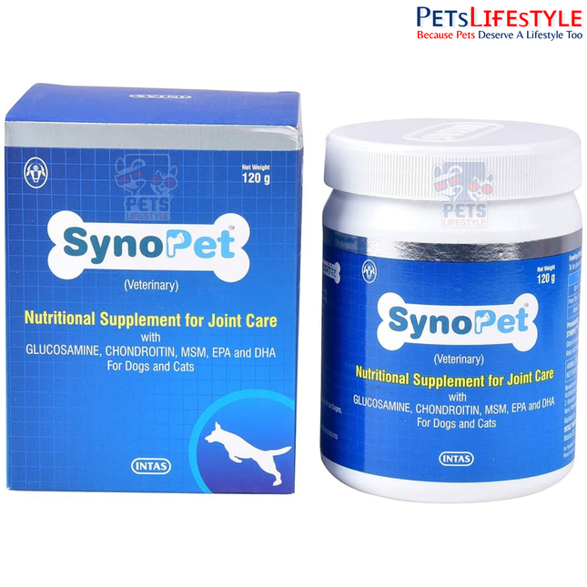 Intas Synopet Nutritional Supplement For Joint Care 120 gm