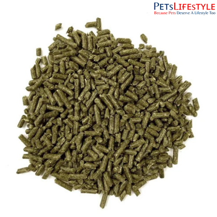 Oxbow Essentials Adult Guinea Pig Food 2.25kg – High Fiber Timothy Hay Diet for Guinea Pigs