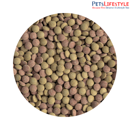 Tetra TabiMin Sinking Tablets Fish Food for Bottom Feeders & Timid Fish with Shrimp for Growth, Health & Colour 36g (120 Tablets)