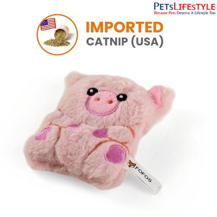 FOFOS Floppy Crinkle Pig Cat Toy – Plush Catnip & Crinkle Toy for Cats & Kittens